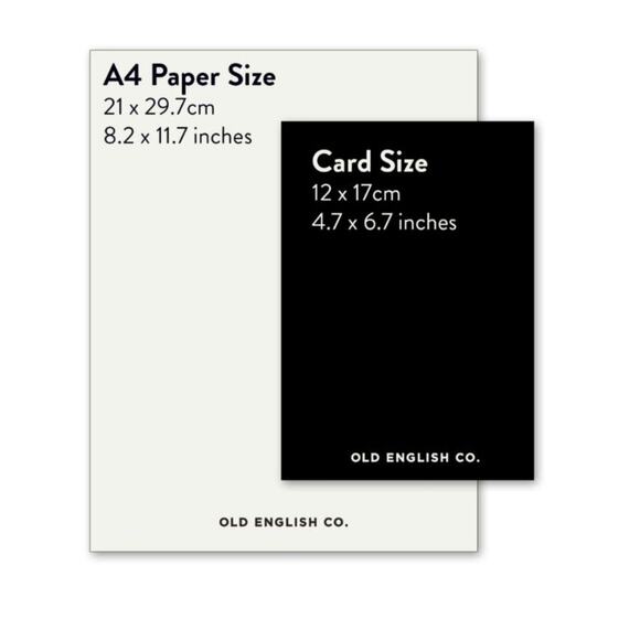 Old English Co. Funny Anniversary Card for Him Her Blank Inside with Envelope S6 - Picture 3 of 6